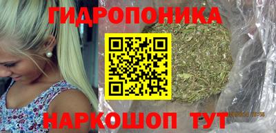 ПСИЛОЦИБИНОВЫЕ ГРИБЫ Сланцы