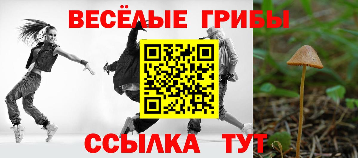 Псилоцибиновые грибы мицелий Прохладный