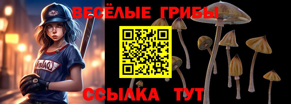Галлюциногенные грибы GOLDEN TEACHER  Вход с VPN  Прохладный 
