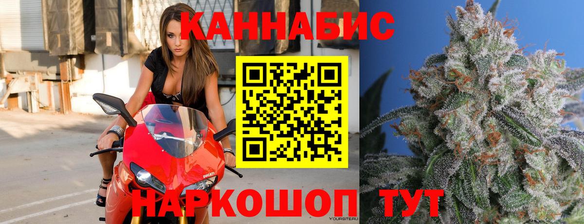 Конопля тримм  Вход с VPN  Прохладный  Бошки марихуана SATIVA & INDICA  МАРИХУАНА VHQ  Конопля SATIVA & INDICA 